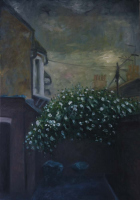 the-backyard-of-my-mind