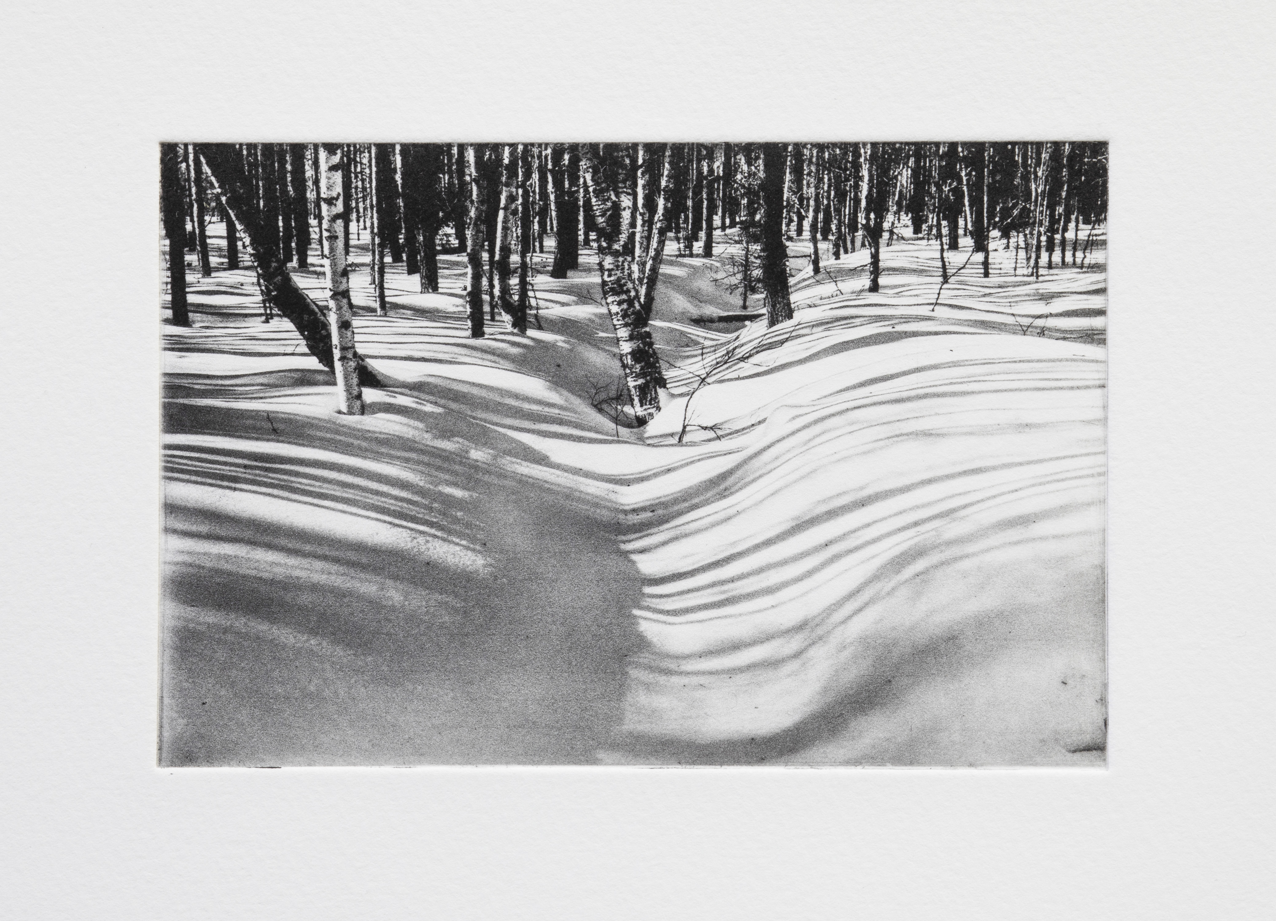 Winter Shadows